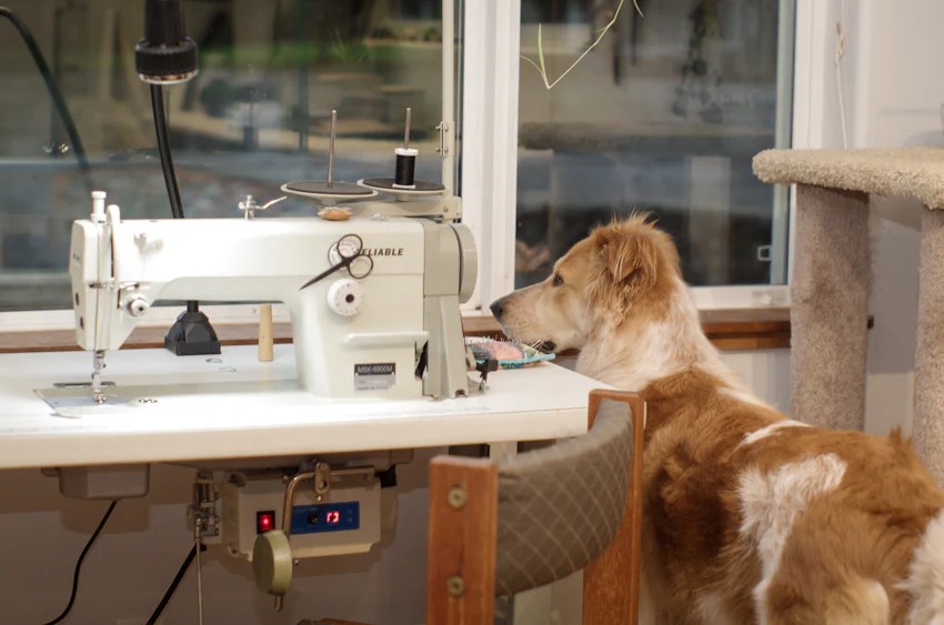 Thread Theory studio